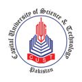 Capital University of Science & Technology